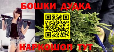 мдпв Новодвинск