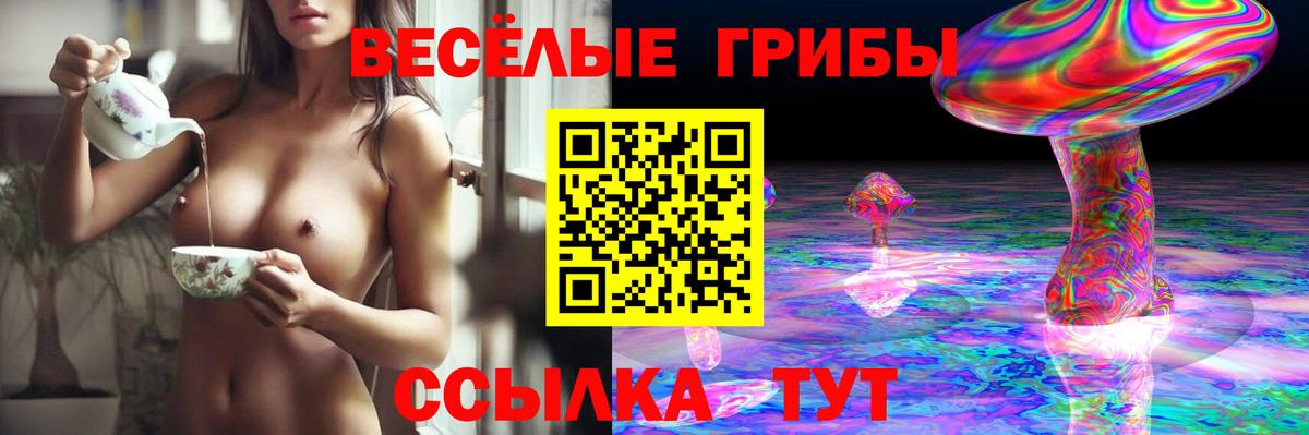 Галлюциногенные грибы Psilocybine cubensis  Вход с VPN  Сибай 