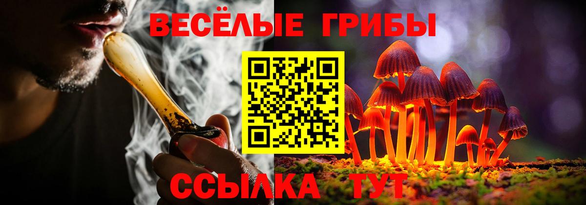 Галлюциногенные грибы MAGIC MUSHROOMS Сибай